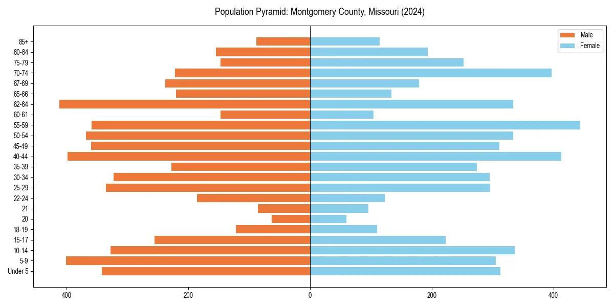 Population pyramid for 