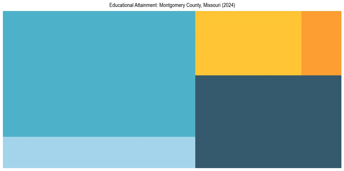 Education Treemap for  in 2024