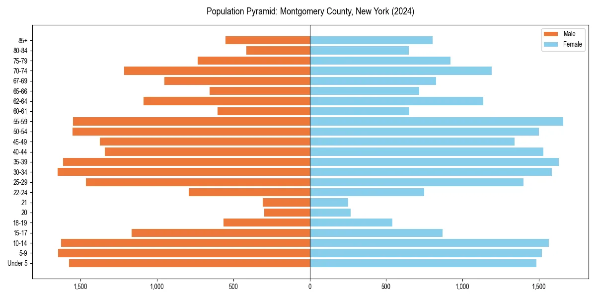 Population pyramid for 