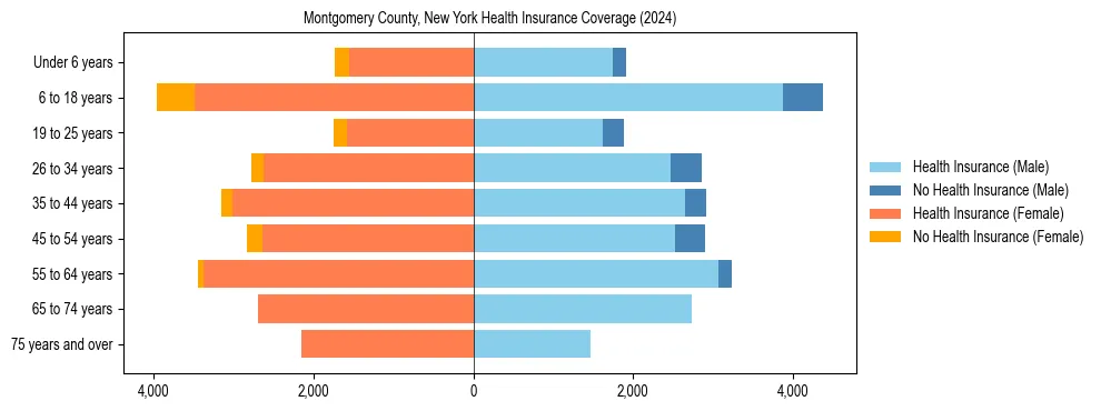 Health insurance pyramid for Montgomery County, New York
