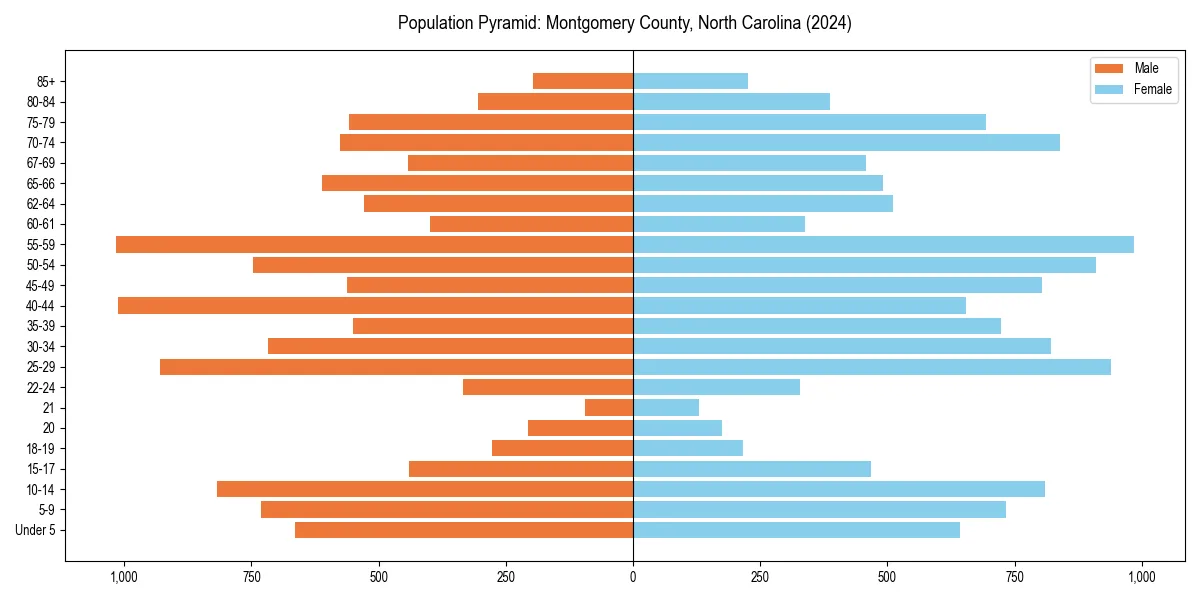 Population pyramid for 