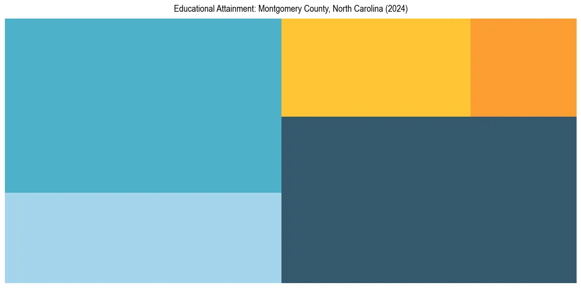 Education Treemap for  in 2024