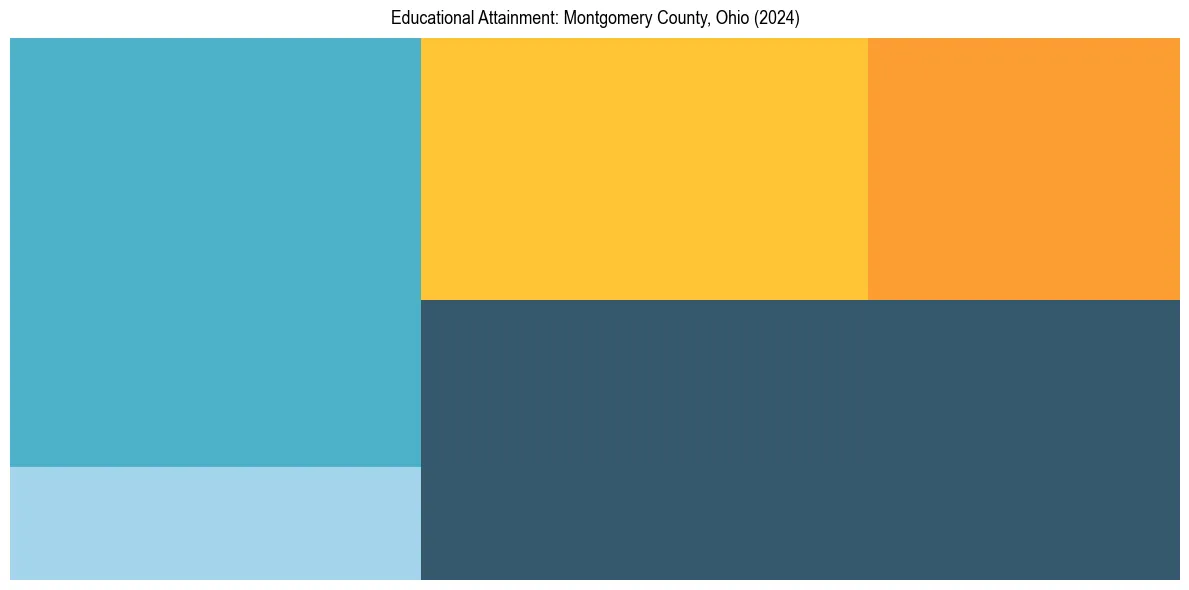 Education Treemap for  in 2024