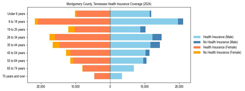 Health insurance pyramid for Montgomery County, Tennessee
