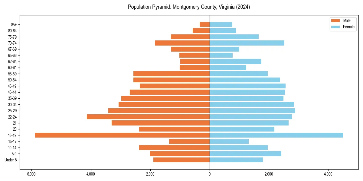 Population pyramid for 