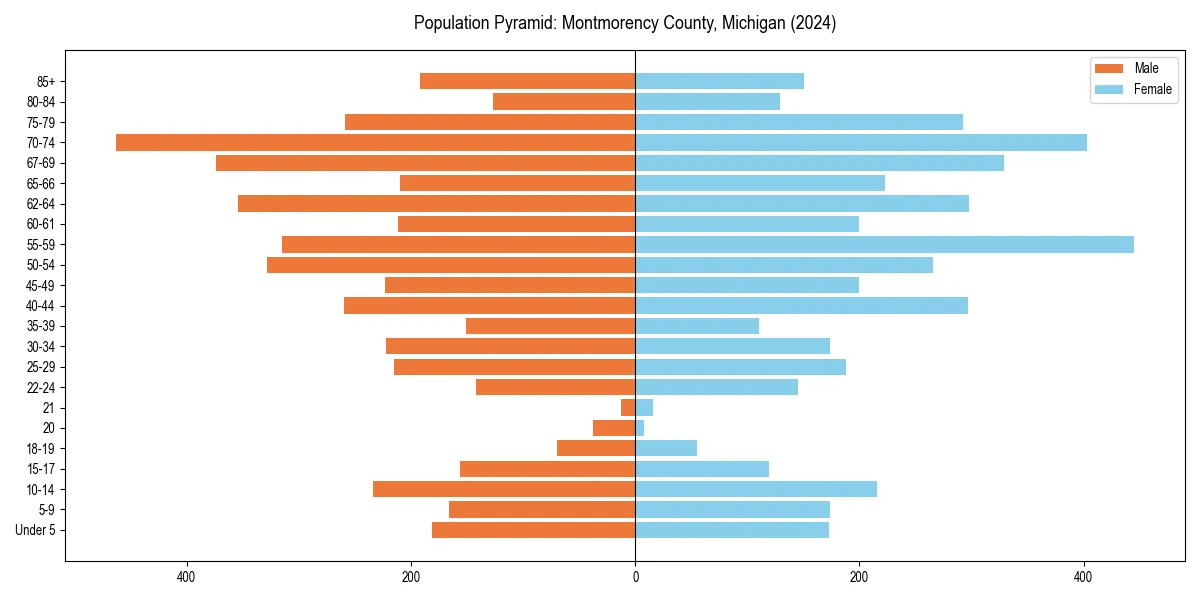 Population pyramid for 