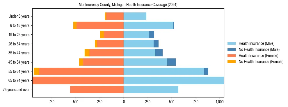Health insurance pyramid for Montmorency County, Michigan