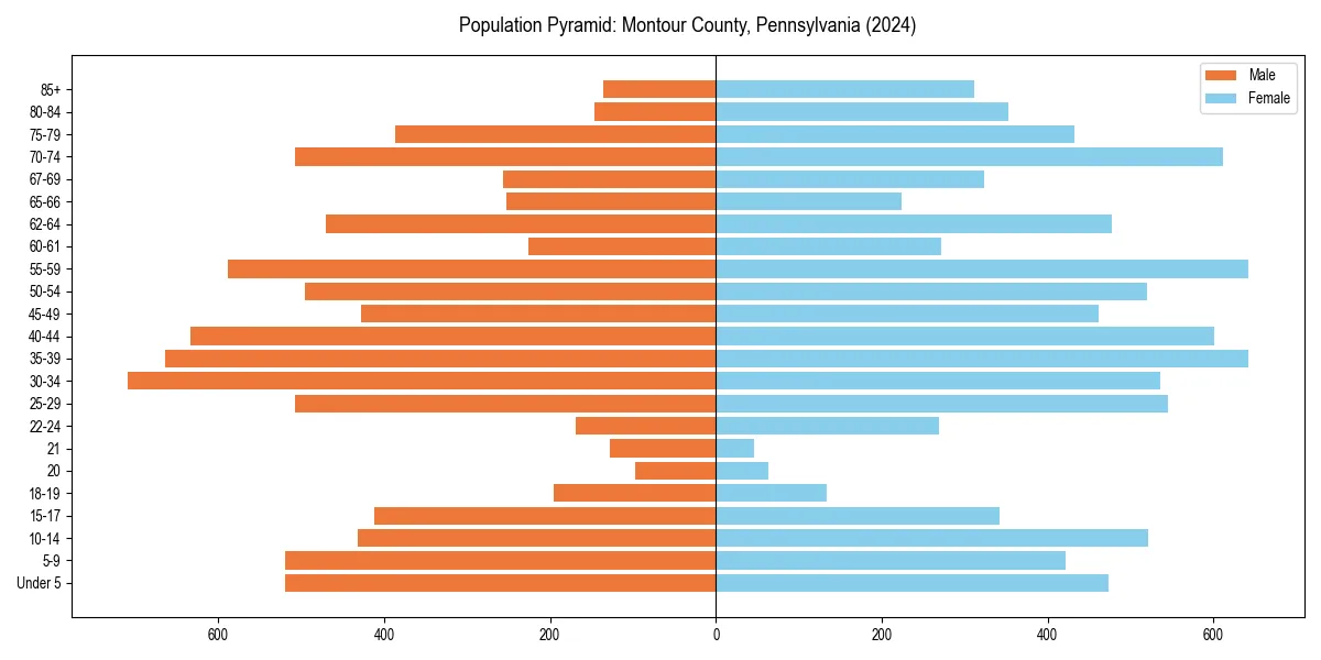 Population pyramid for 