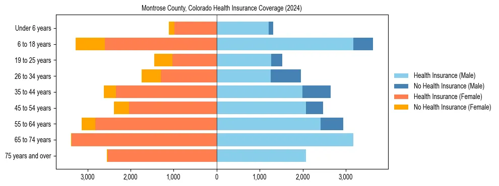 Health insurance pyramid for Montrose County, Colorado
