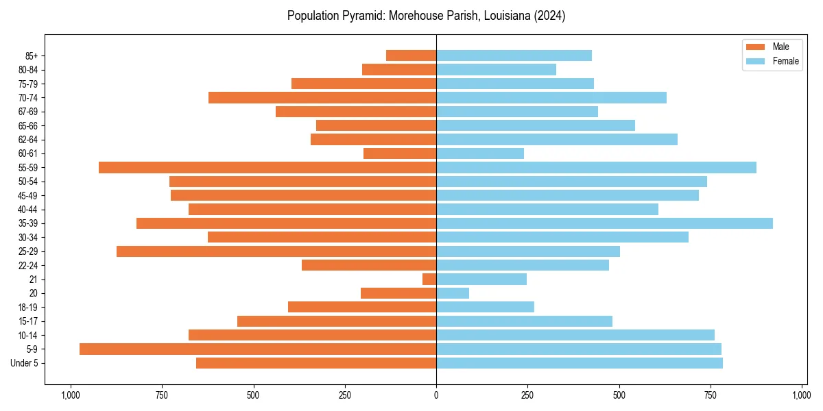 Population pyramid for 