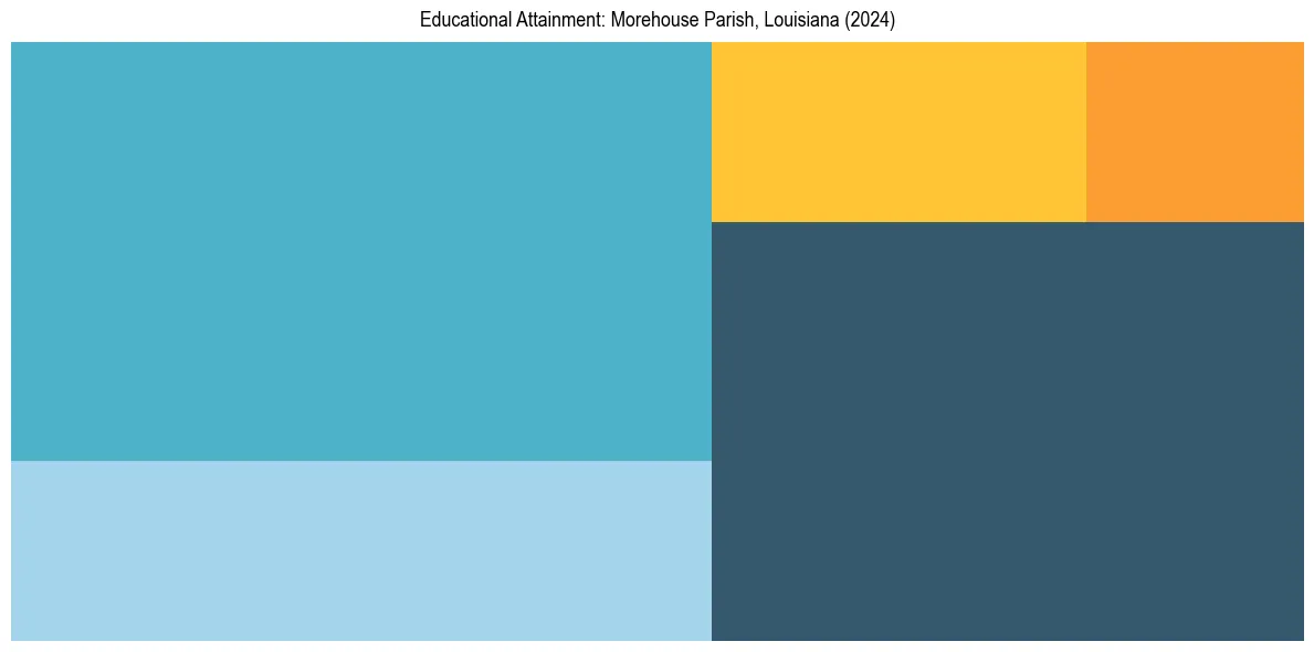 Education Treemap for  in 2024