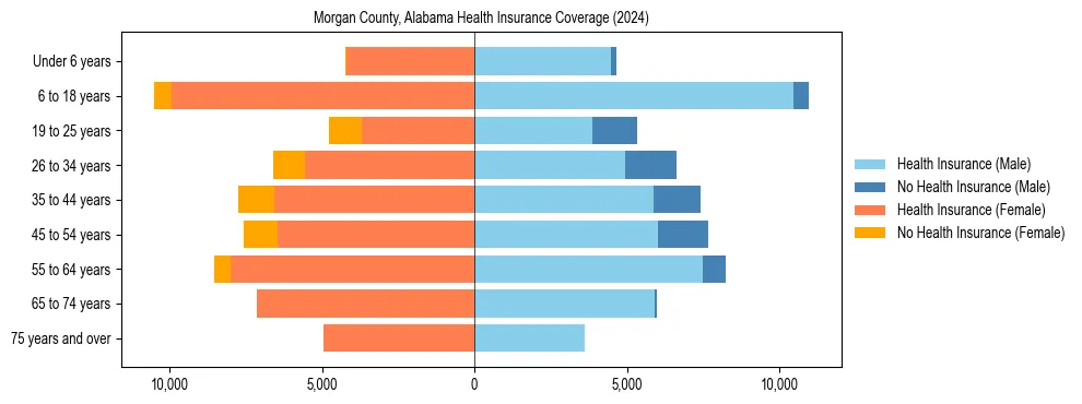 Health insurance pyramid for Morgan County, Alabama
