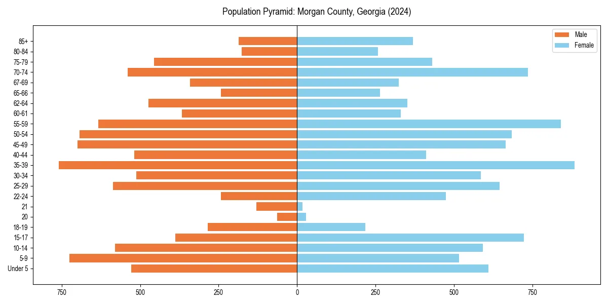 Population pyramid for 
