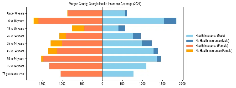 Health insurance pyramid for Morgan County, Georgia