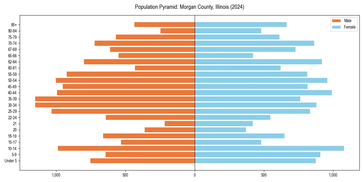 Population pyramid for 