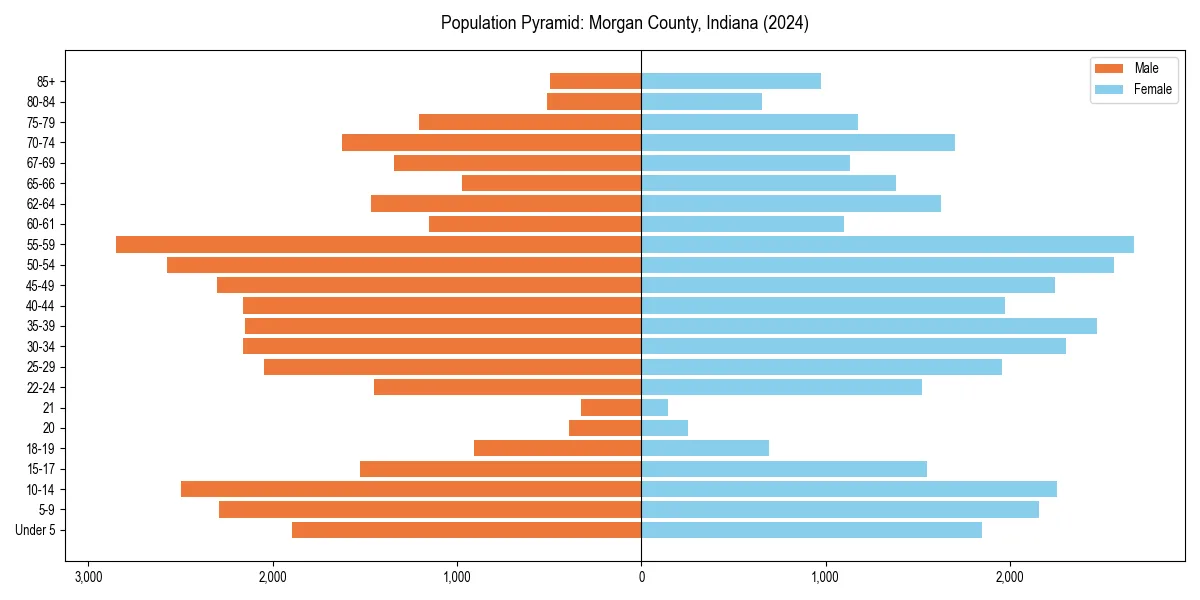 Population pyramid for 