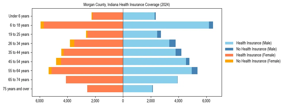 Health insurance pyramid for Morgan County, Indiana