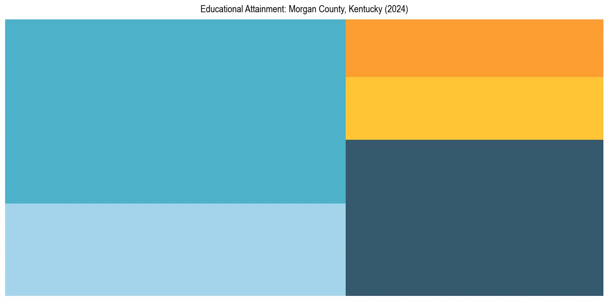 Education Treemap for  in 2024