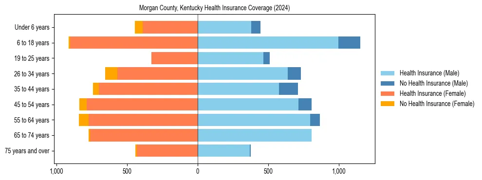 Health insurance pyramid for Morgan County, Kentucky