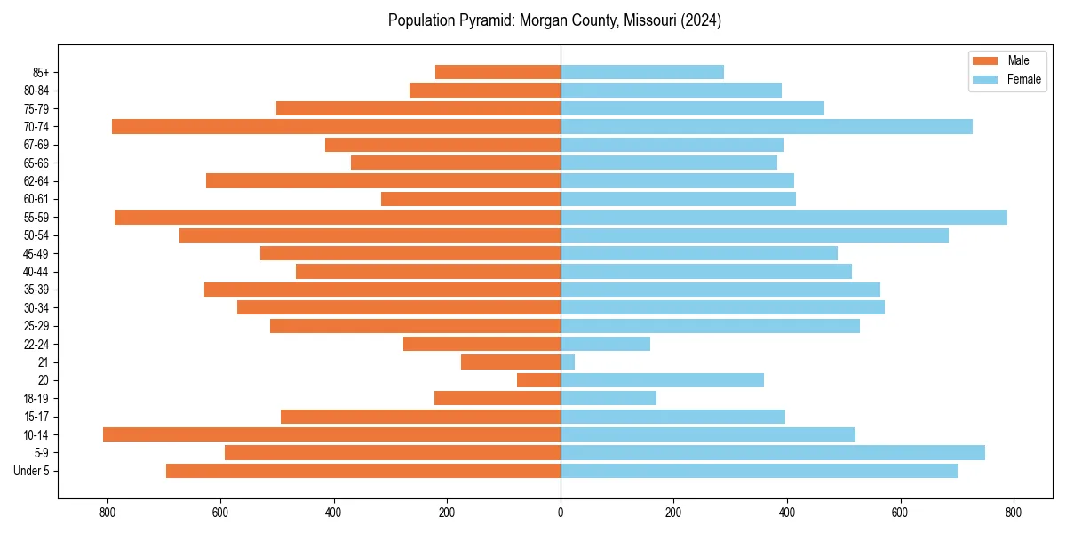 Population pyramid for 