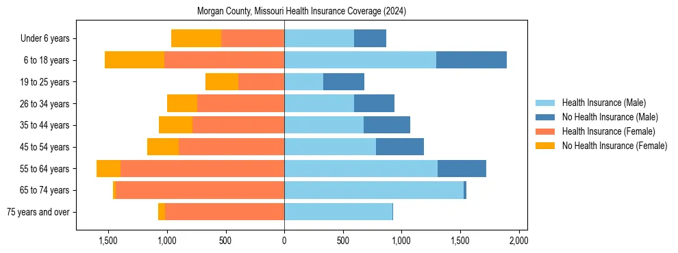 Health insurance pyramid for Morgan County, Missouri