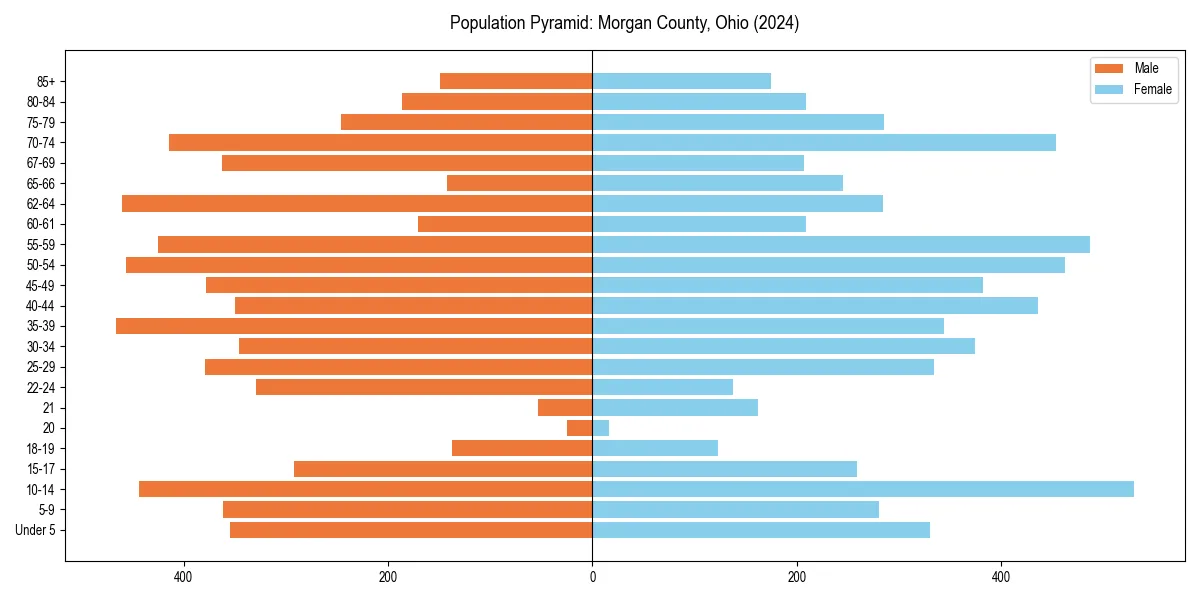 Population pyramid for 