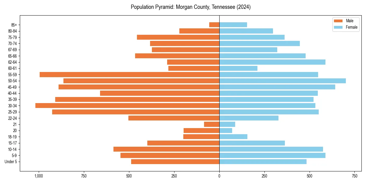 Population pyramid for 