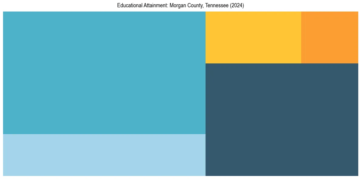 Education Treemap for  in 2024