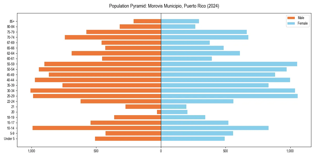Population pyramid for 