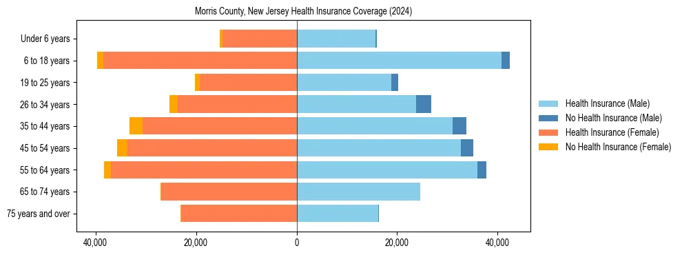 Health insurance pyramid for Morris County, New Jersey