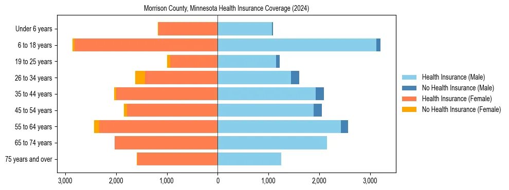 Health insurance pyramid for Morrison County, Minnesota