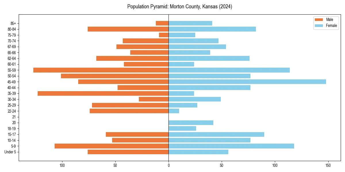 Population pyramid for 