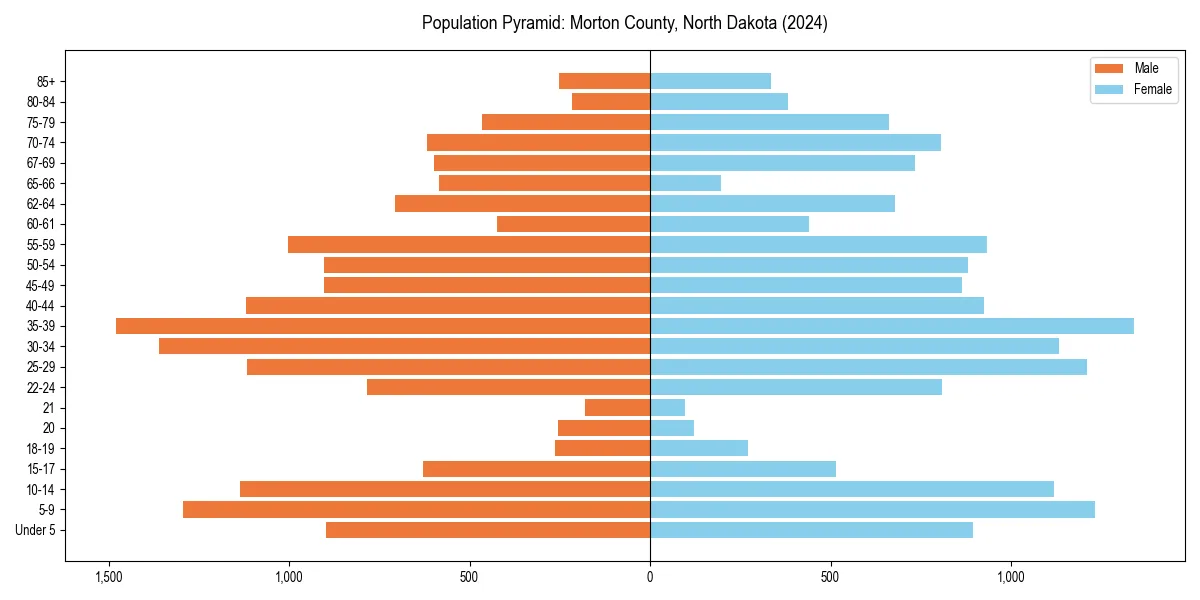 Population pyramid for 