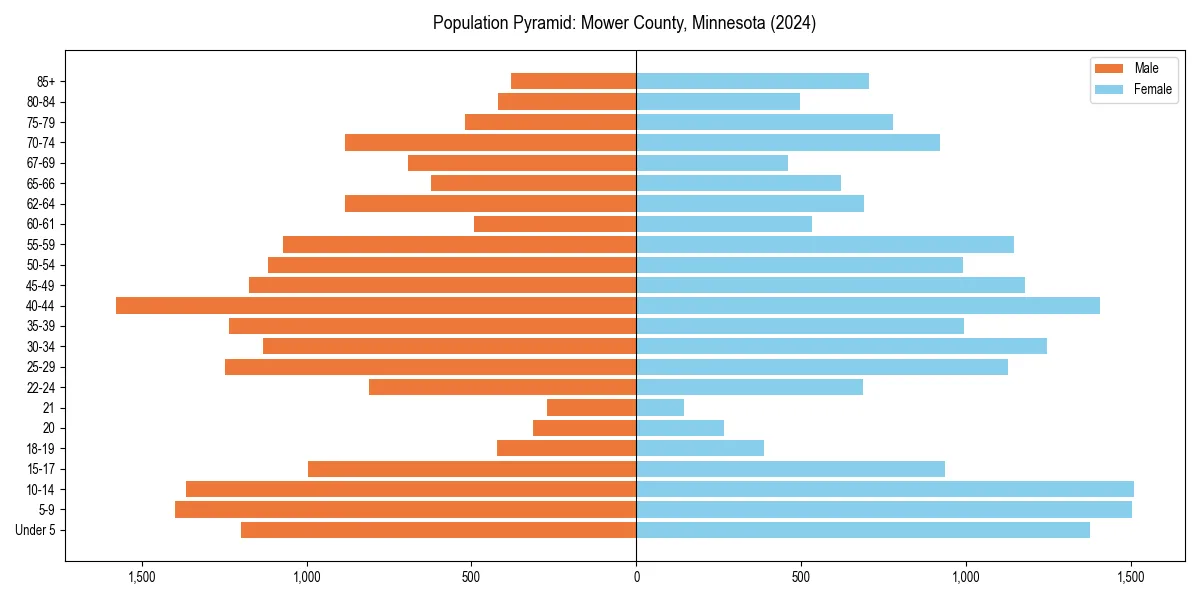 Population pyramid for 