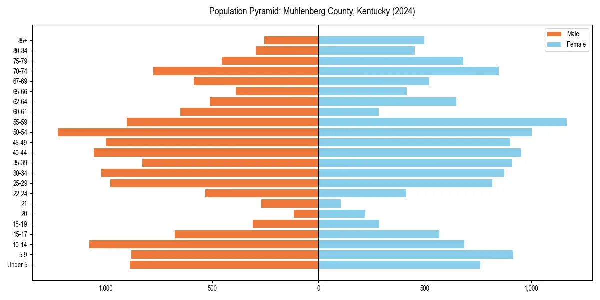 Population pyramid for 