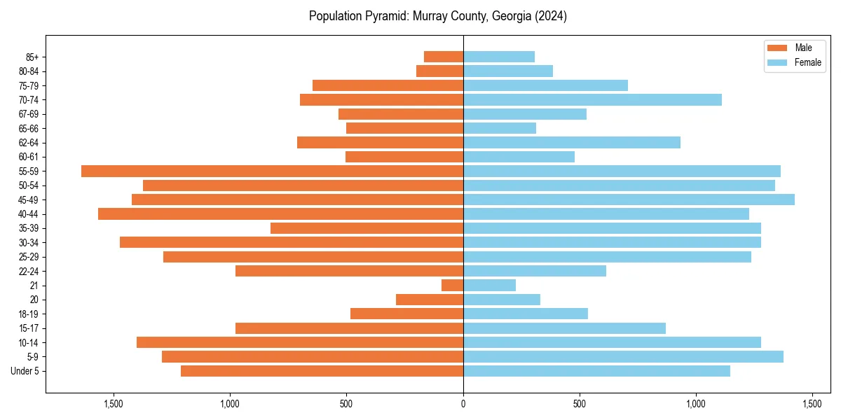 Population pyramid for 