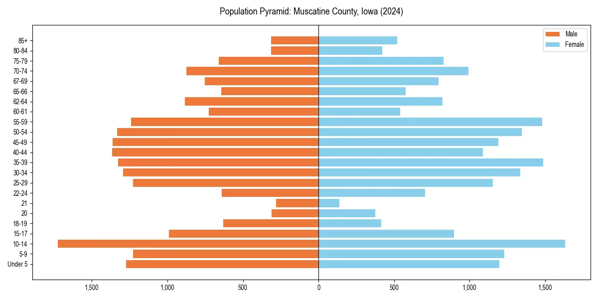Population pyramid for 