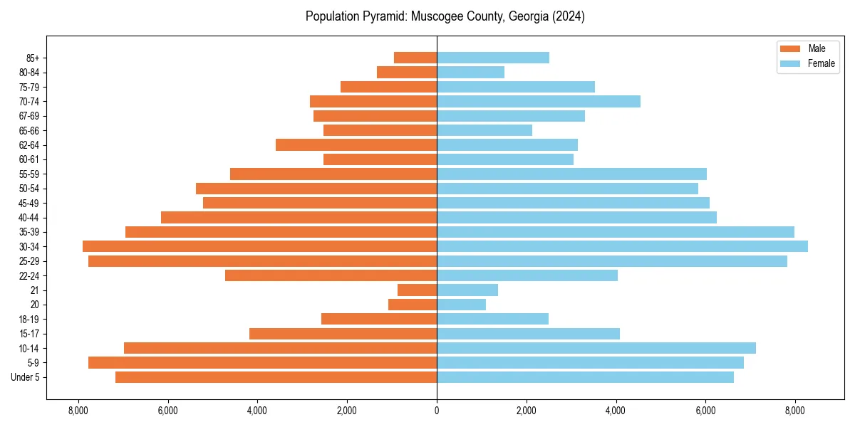 Population pyramid for 