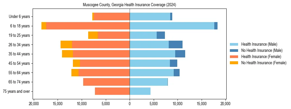 Health insurance pyramid for Muscogee County, Georgia