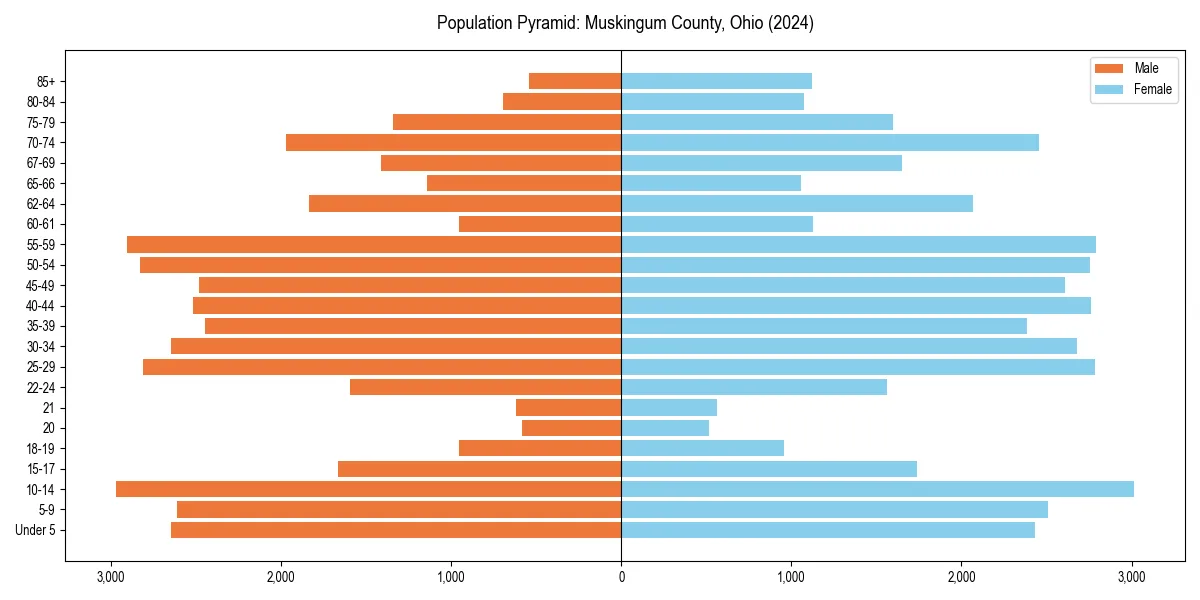 Population pyramid for 