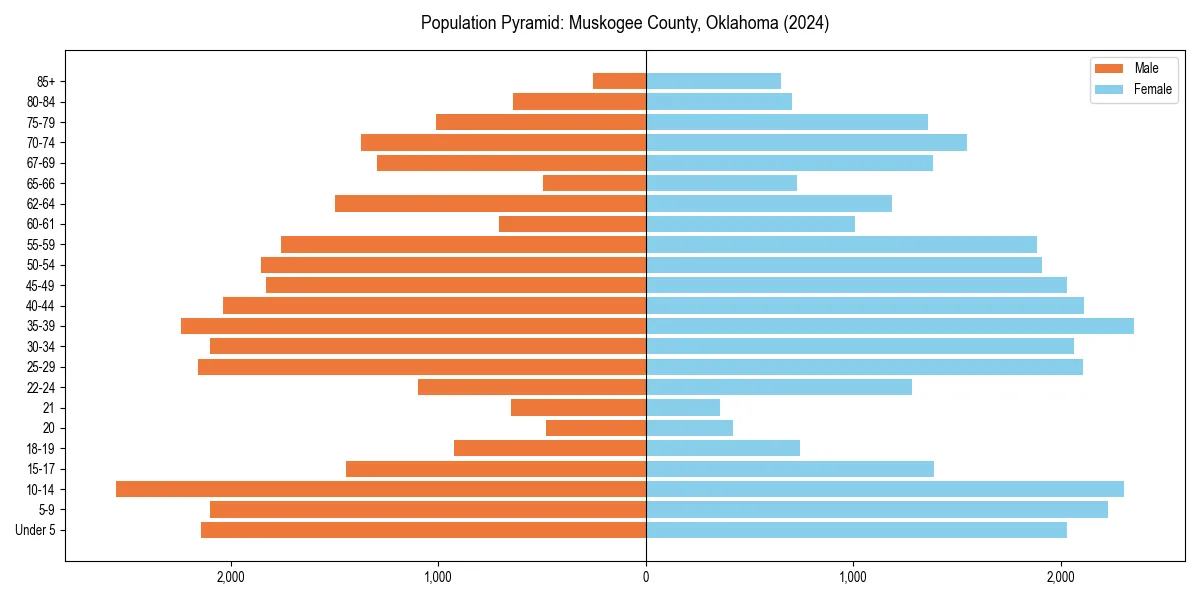 Population pyramid for 