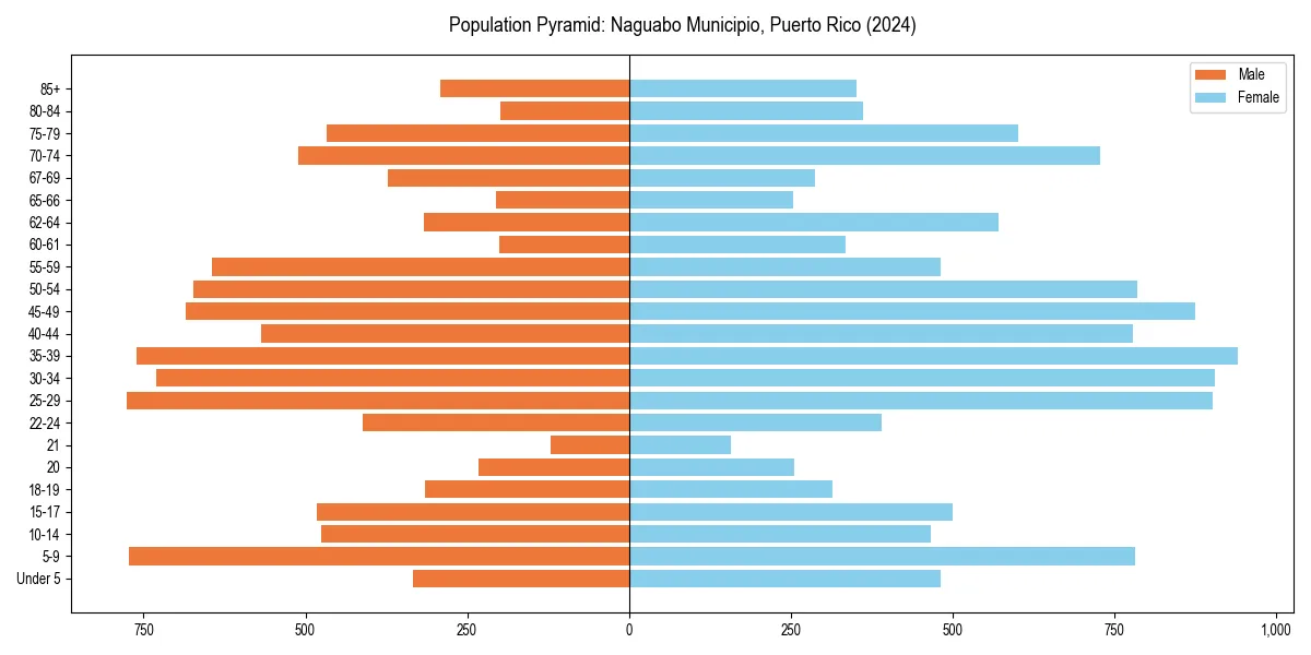 Population pyramid for 