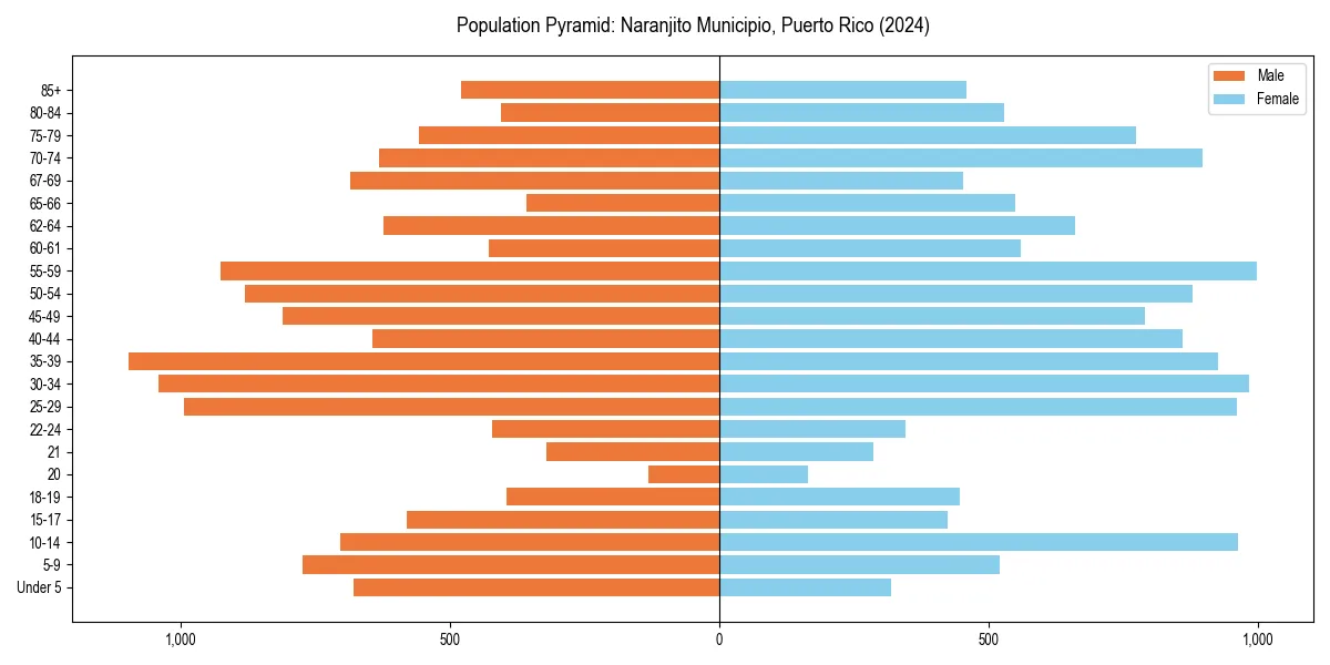 Population pyramid for 
