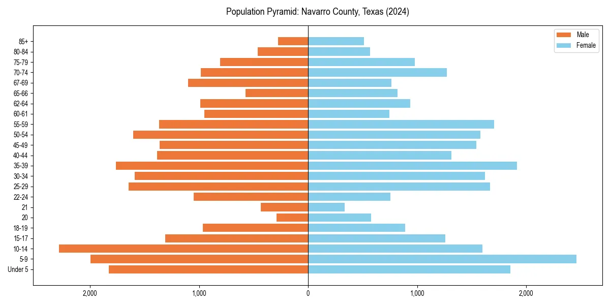 Population pyramid for 