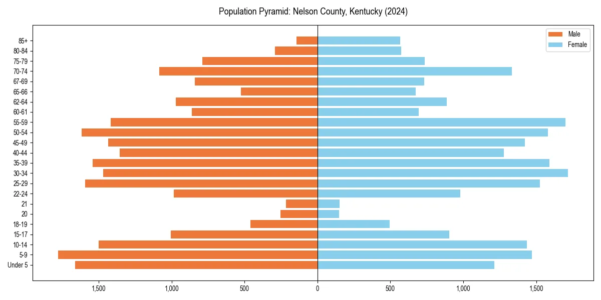 Population pyramid for 
