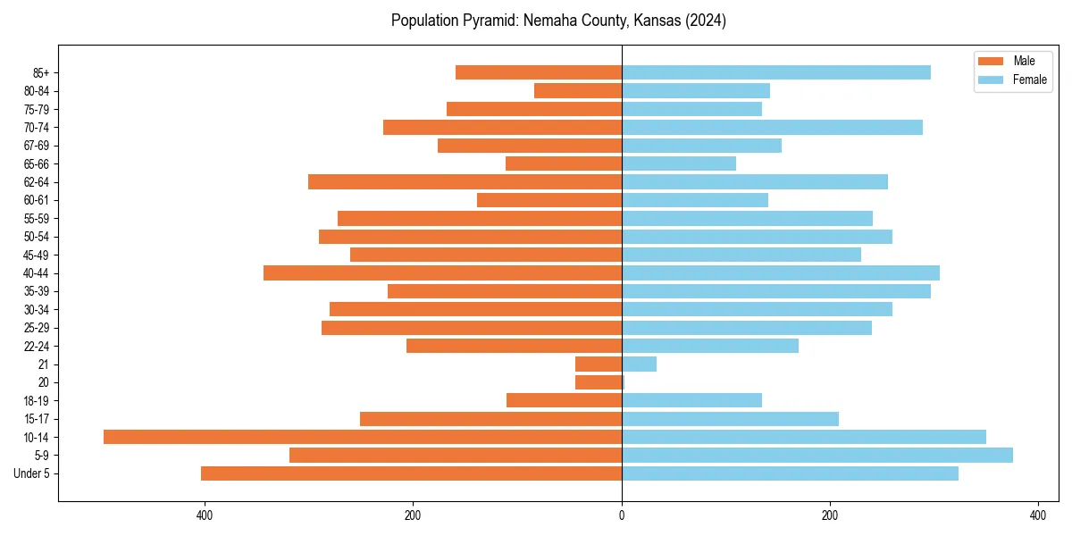 Population pyramid for 