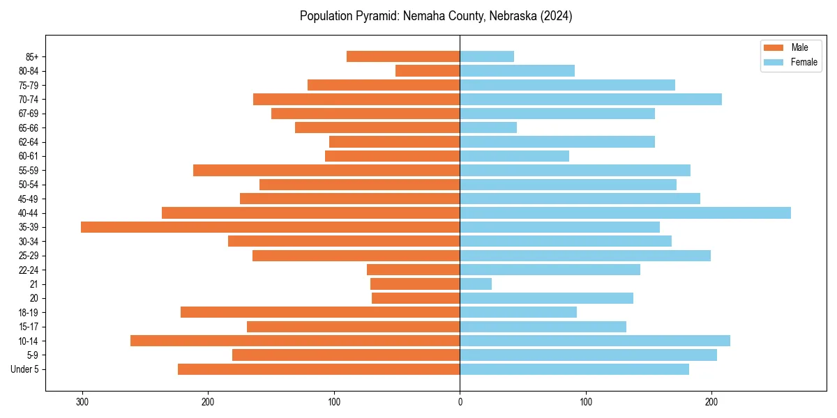 Population pyramid for 