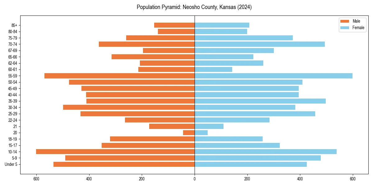 Population pyramid for 