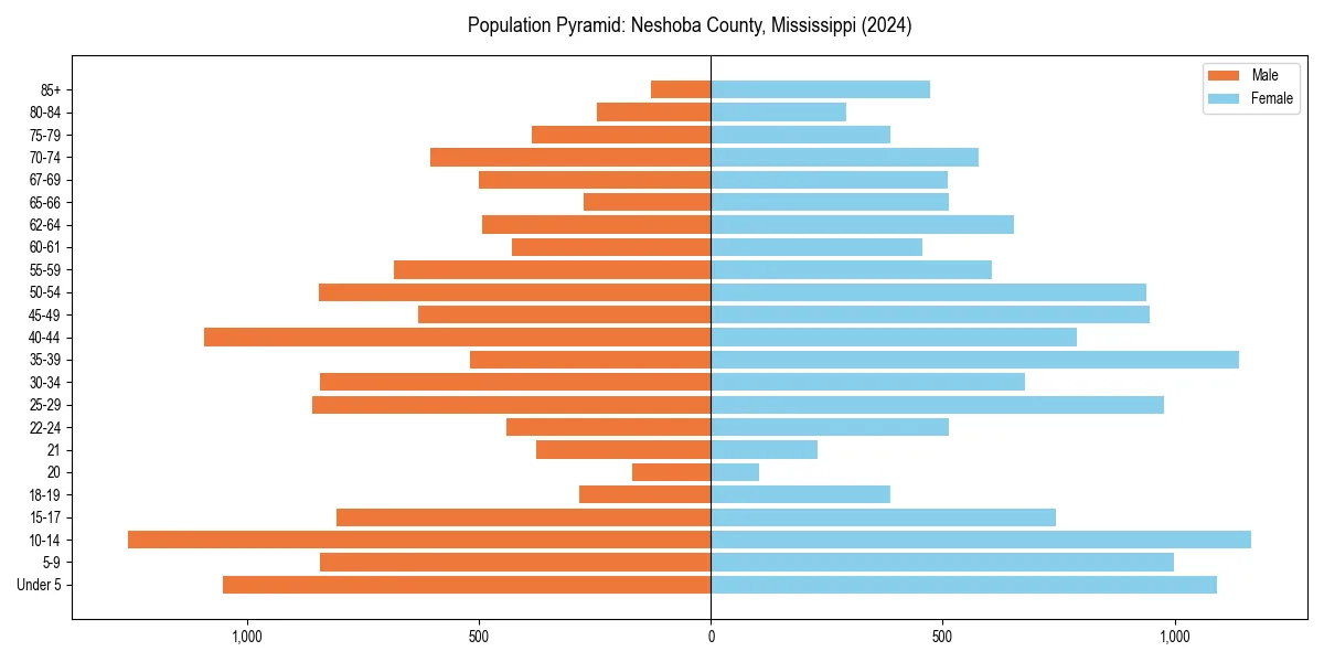 Population pyramid for 