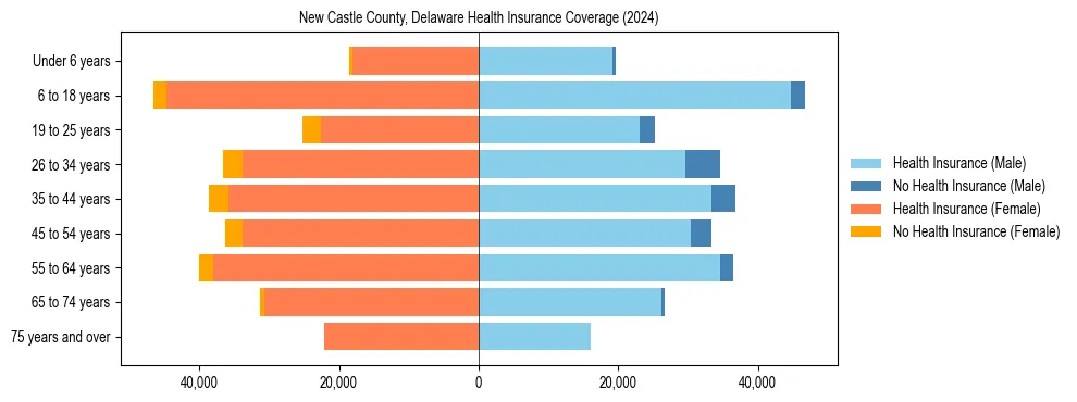 Health insurance pyramid for New Castle County, Delaware